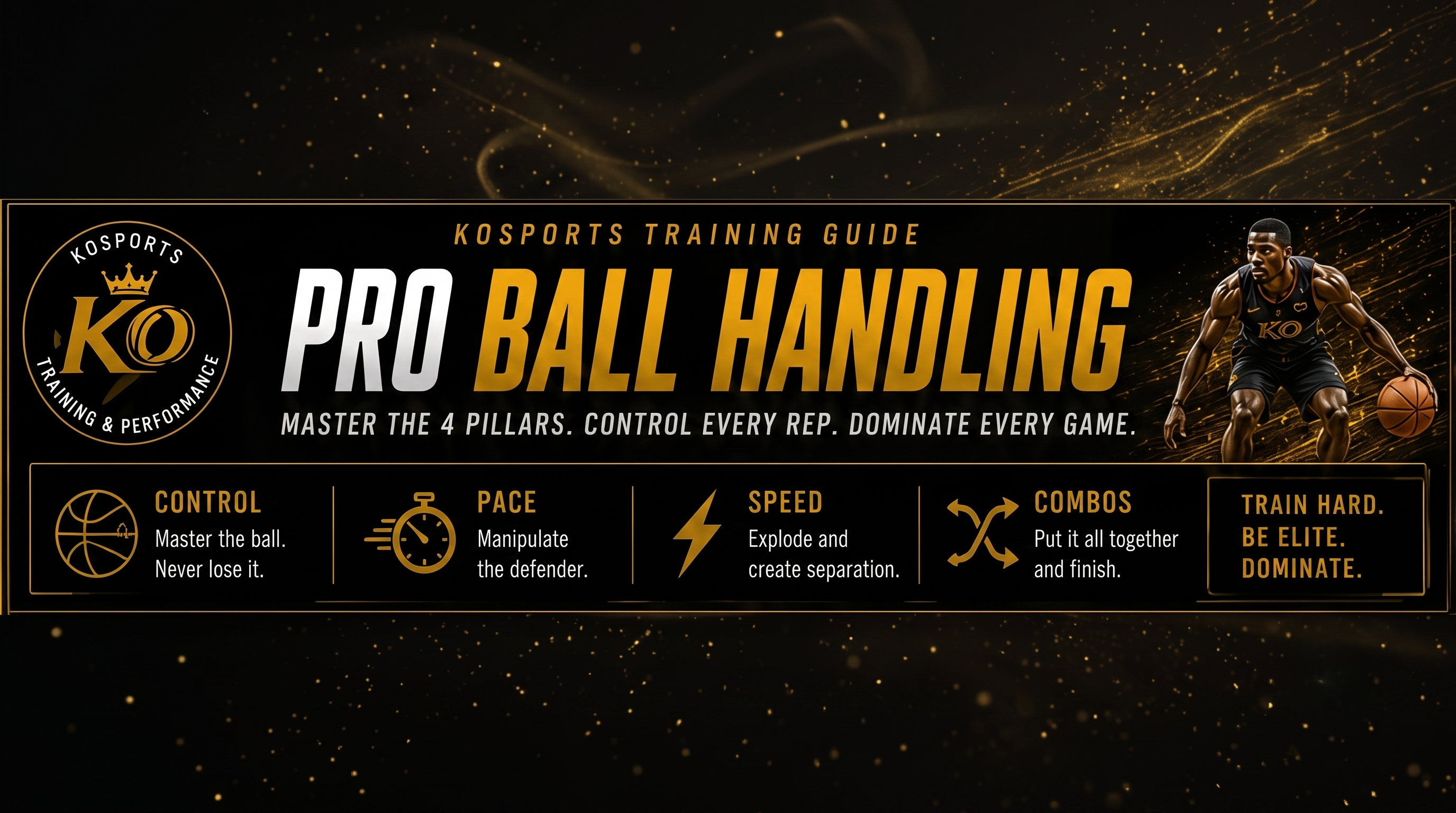 12-Week Pro Ball Handling System