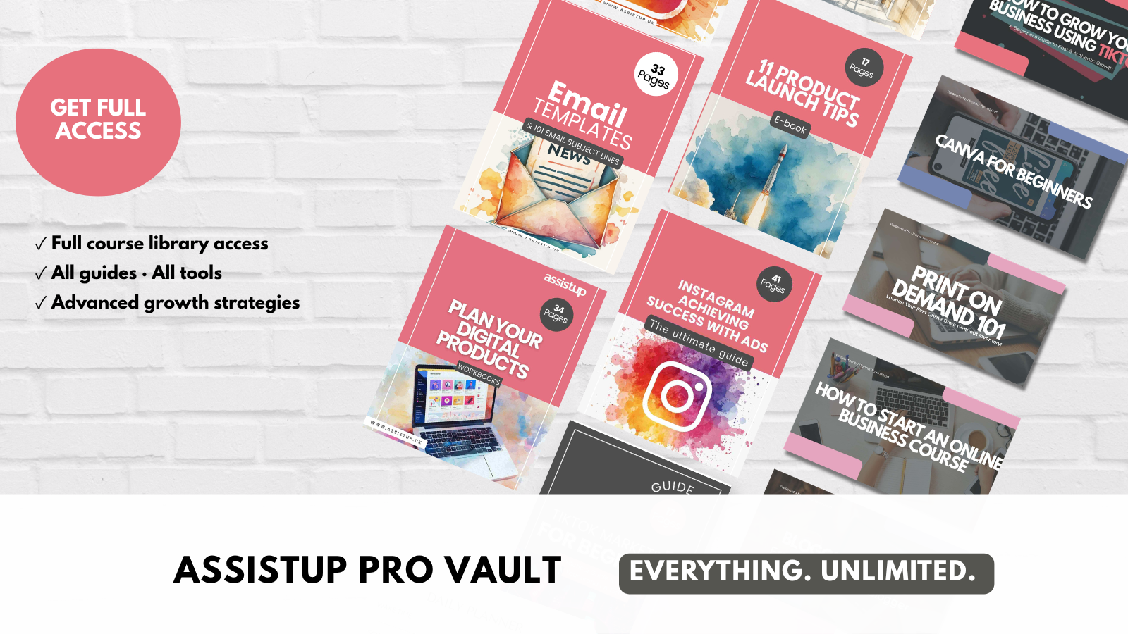 Assistup Pro Vault