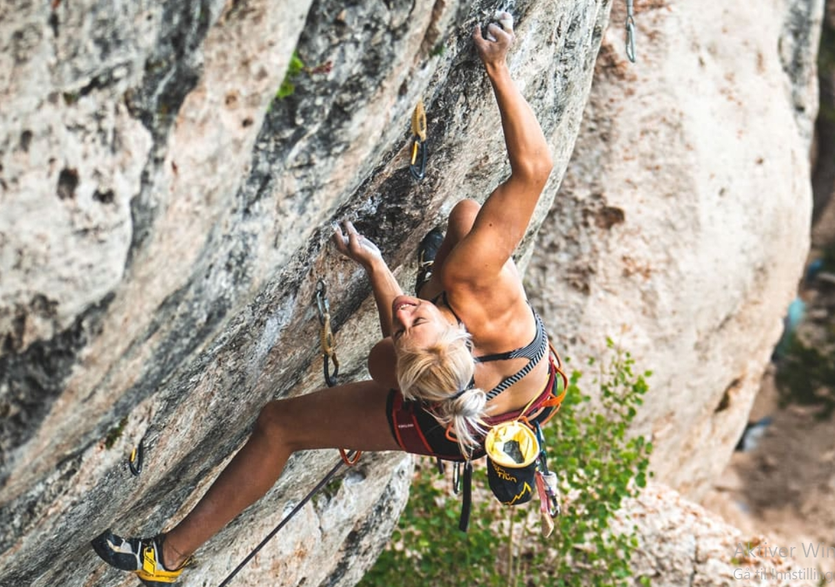 ClimberCore Grip Rings