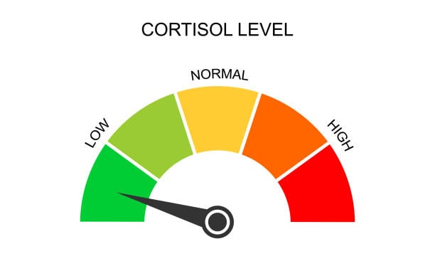 Low Cortisol House Mix