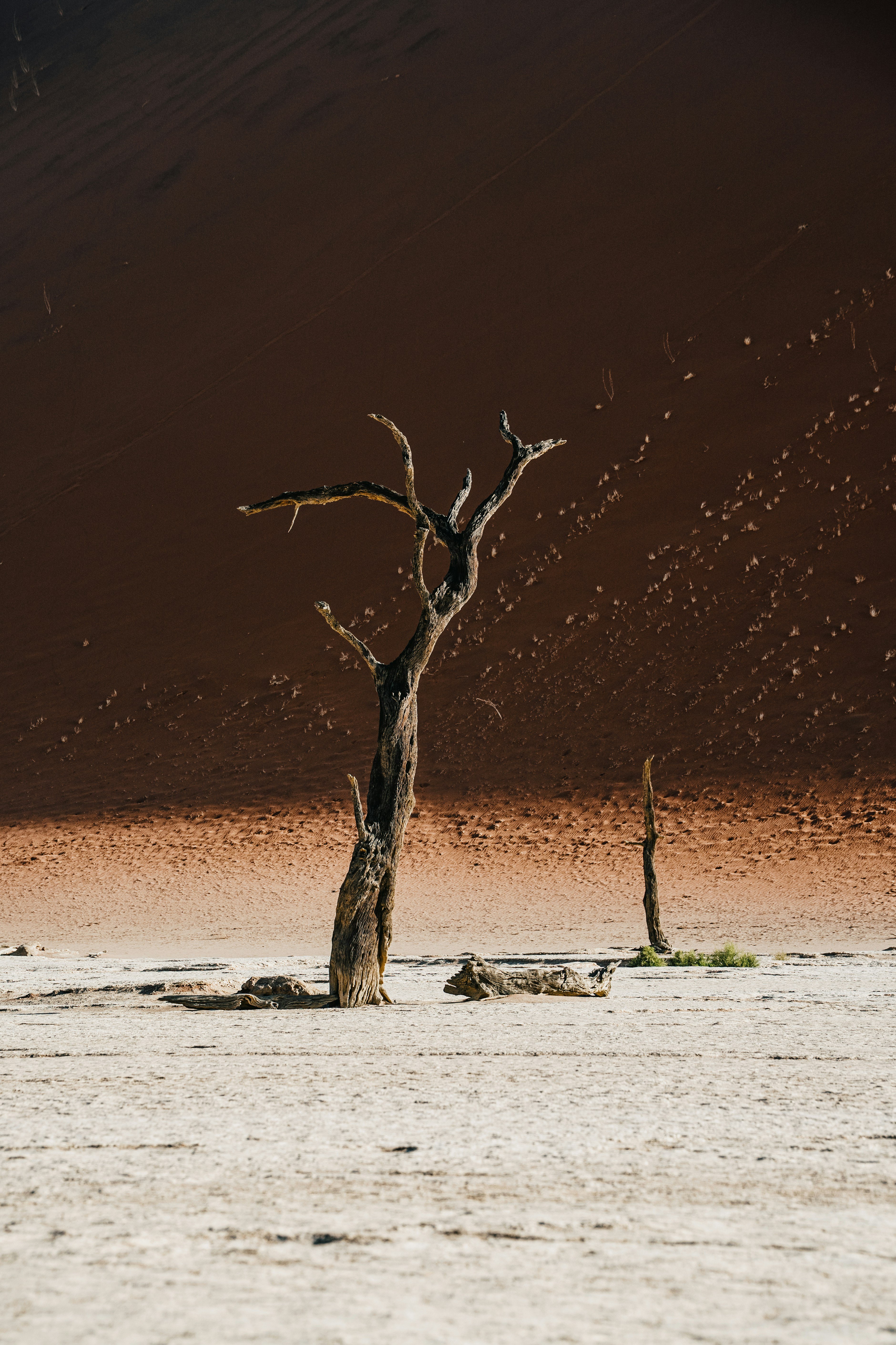 Photography basics