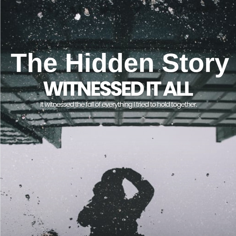 THE HIDDEN STORY