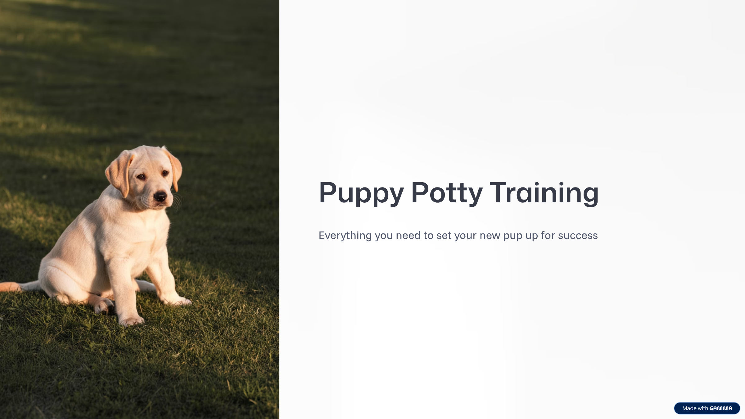 The Puppy Bathroom Breakthrough Plan