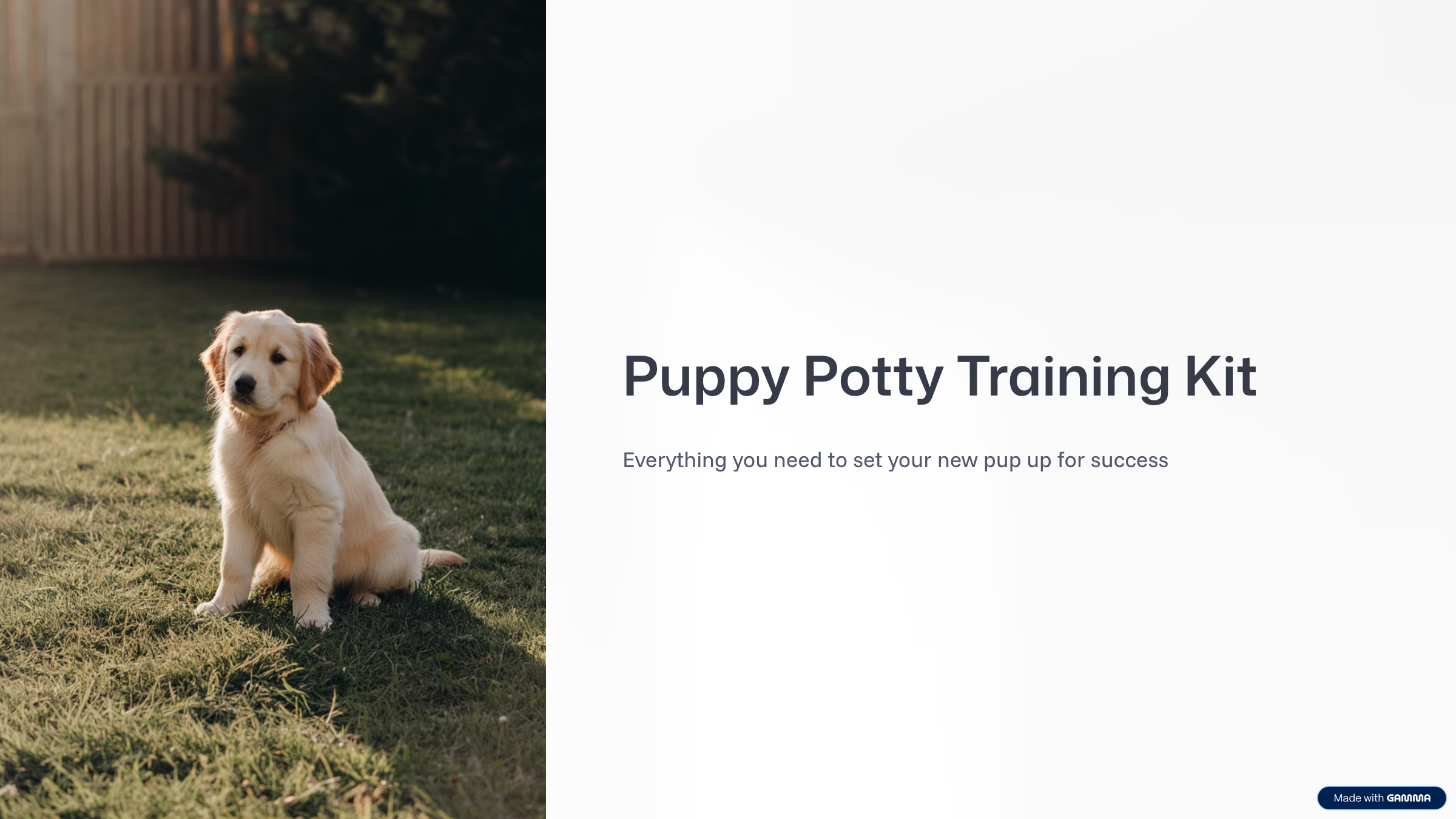 Puppy Potty Training Kit