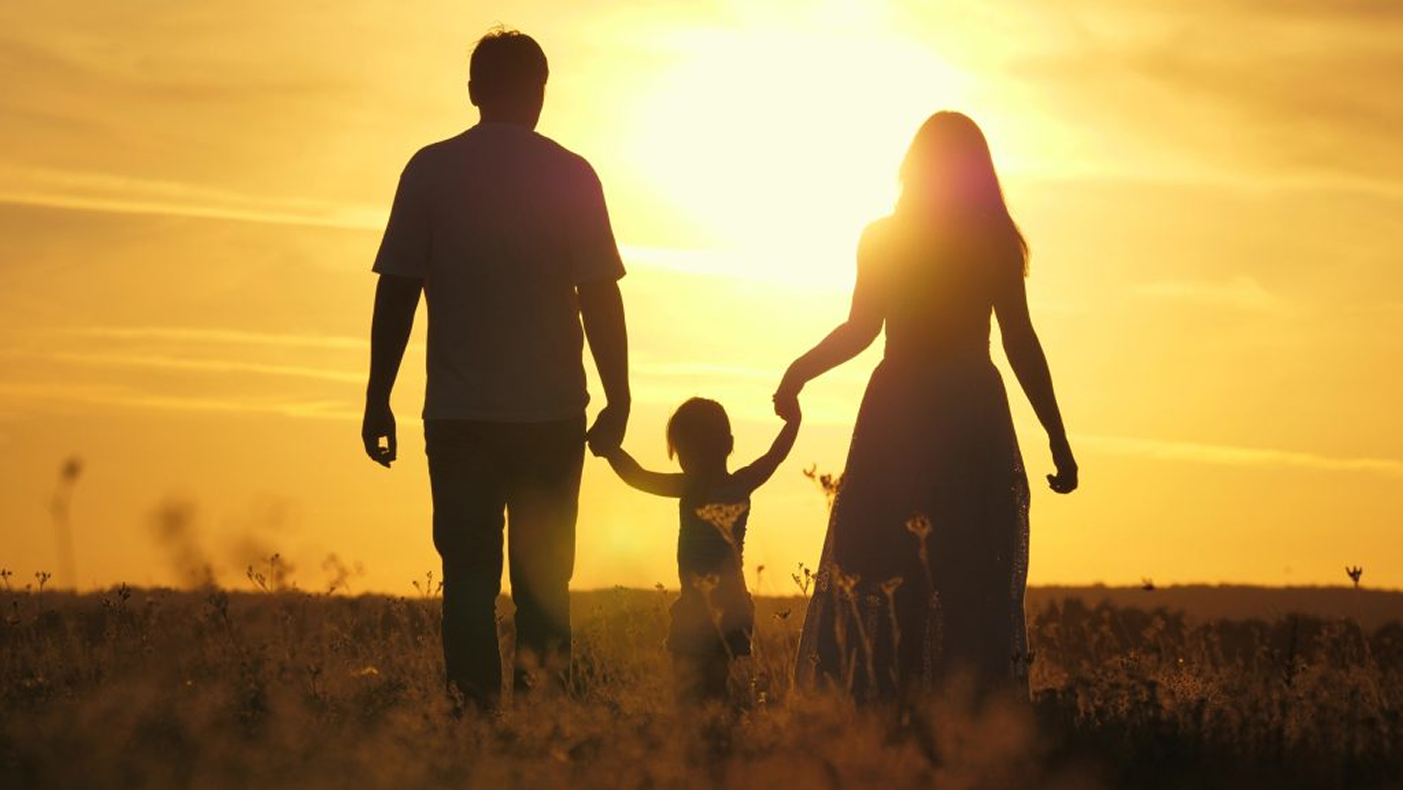 Calm Handoff Co-Parenting