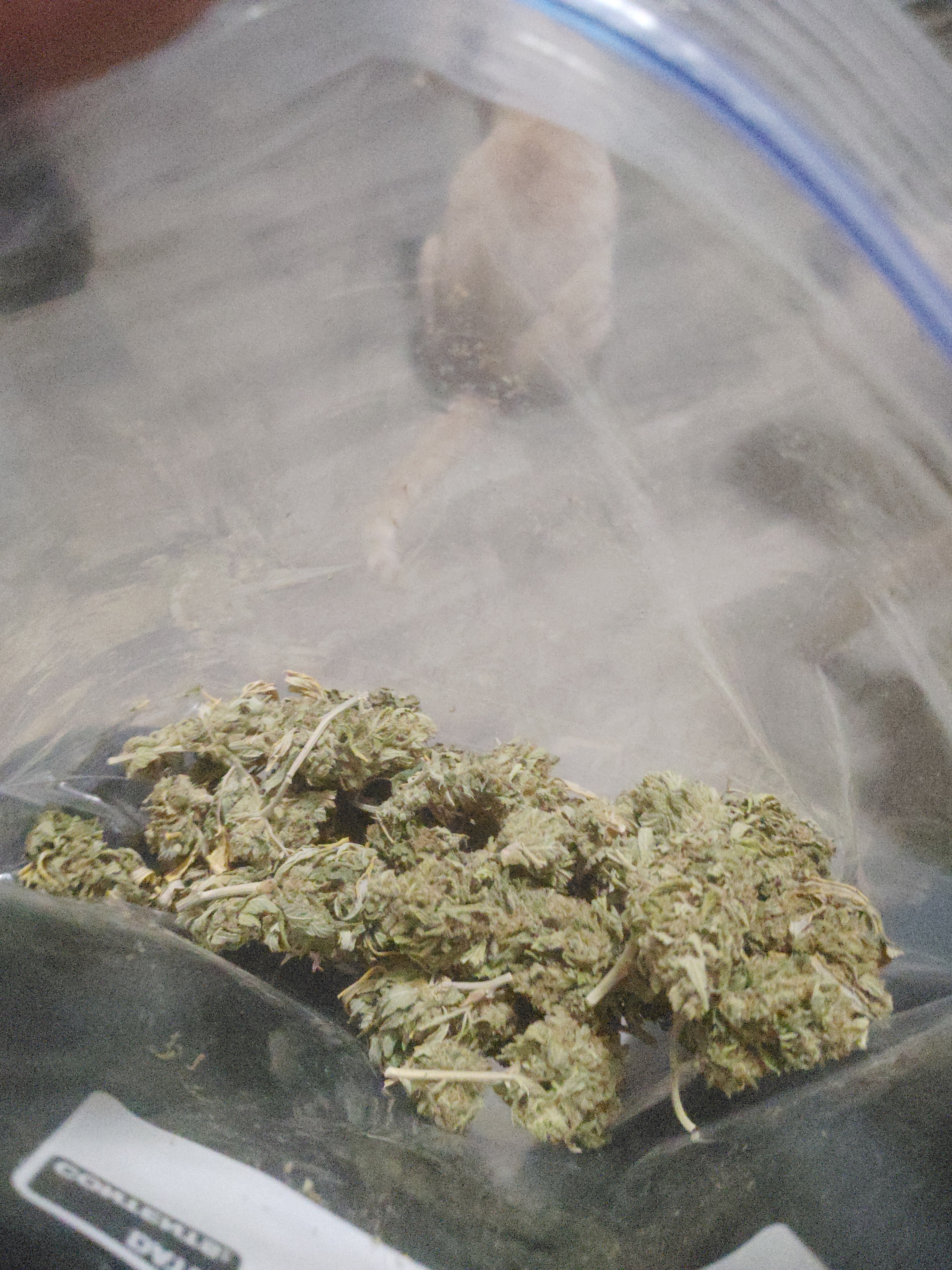 Candy Kush