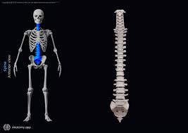 Best method to grow taller in 30 days.