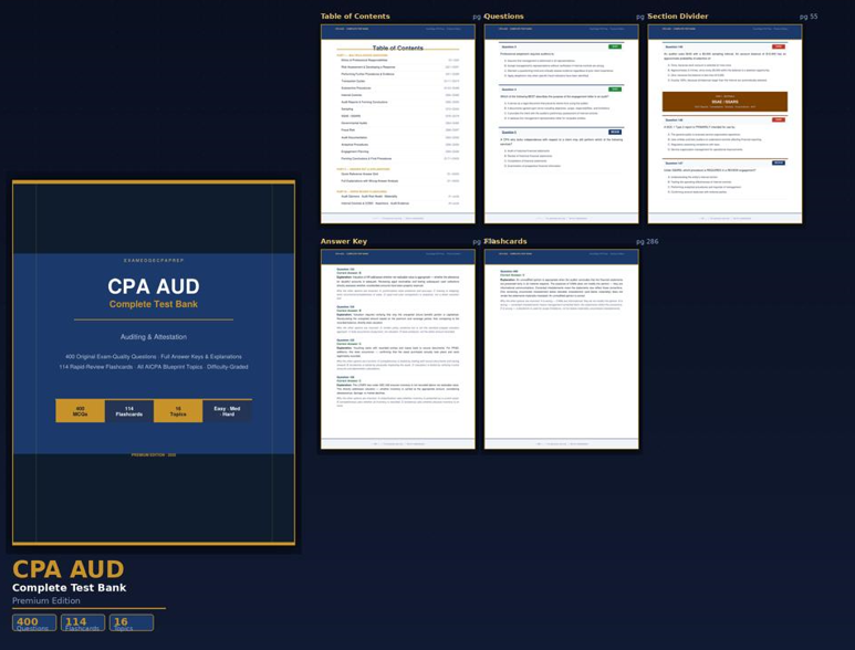 CPA AUD test bank 