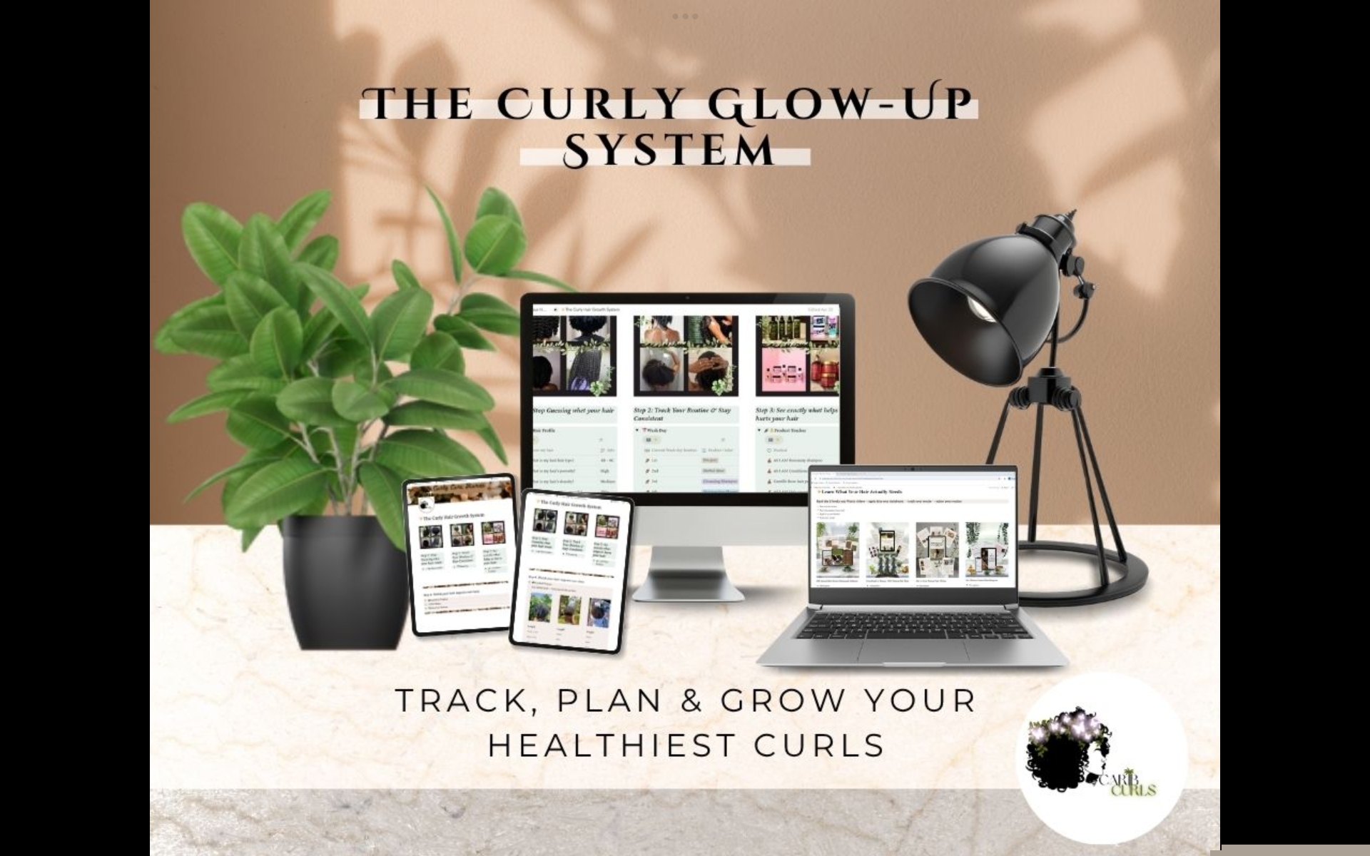The Curly Glow-Up System