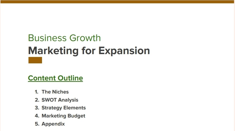 Strategies for Business Growth