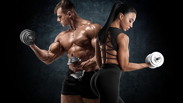 FitMastery Core