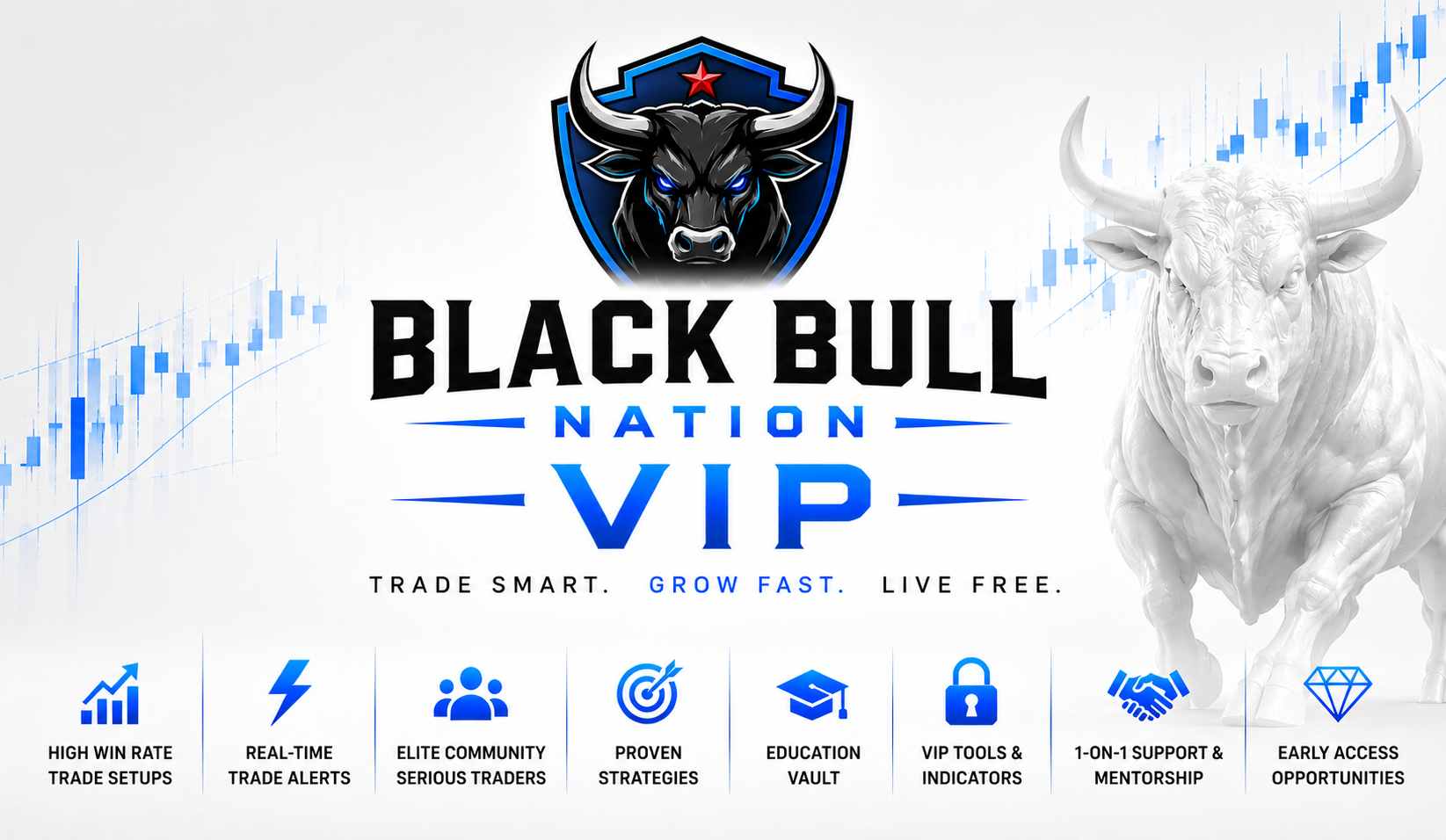 Black Bull VIP