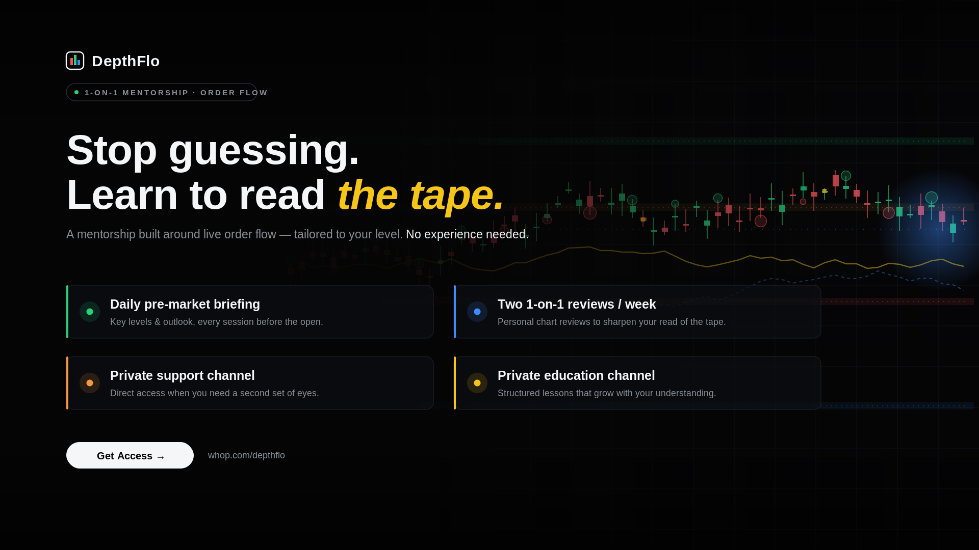 DepthFlo Mentorship