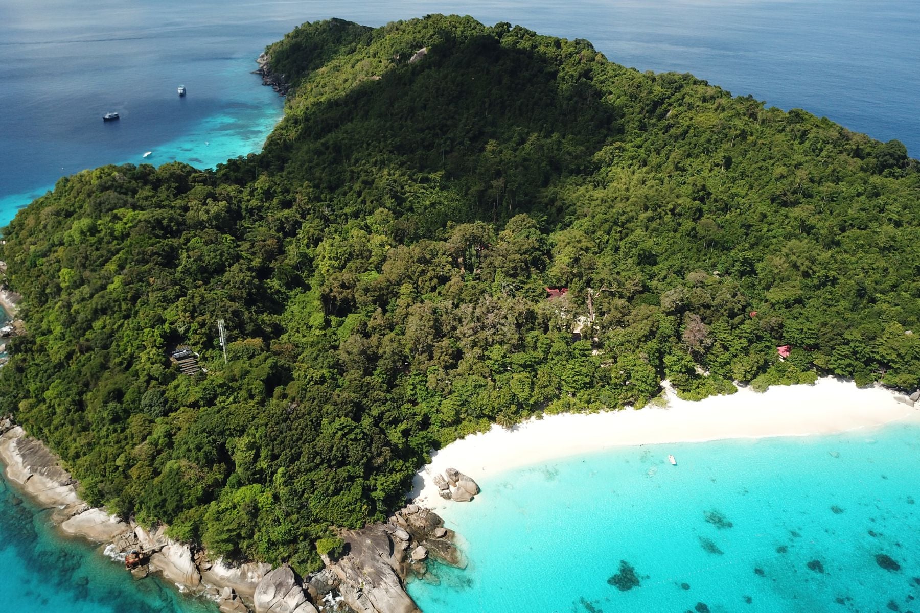 Tropical Island & Coastal Region Survival