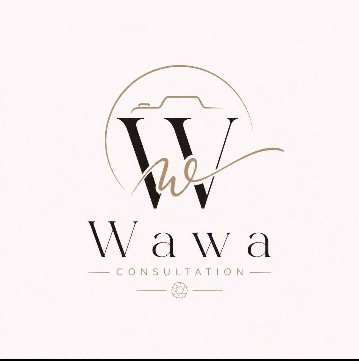 Consultation Photographie & Montage