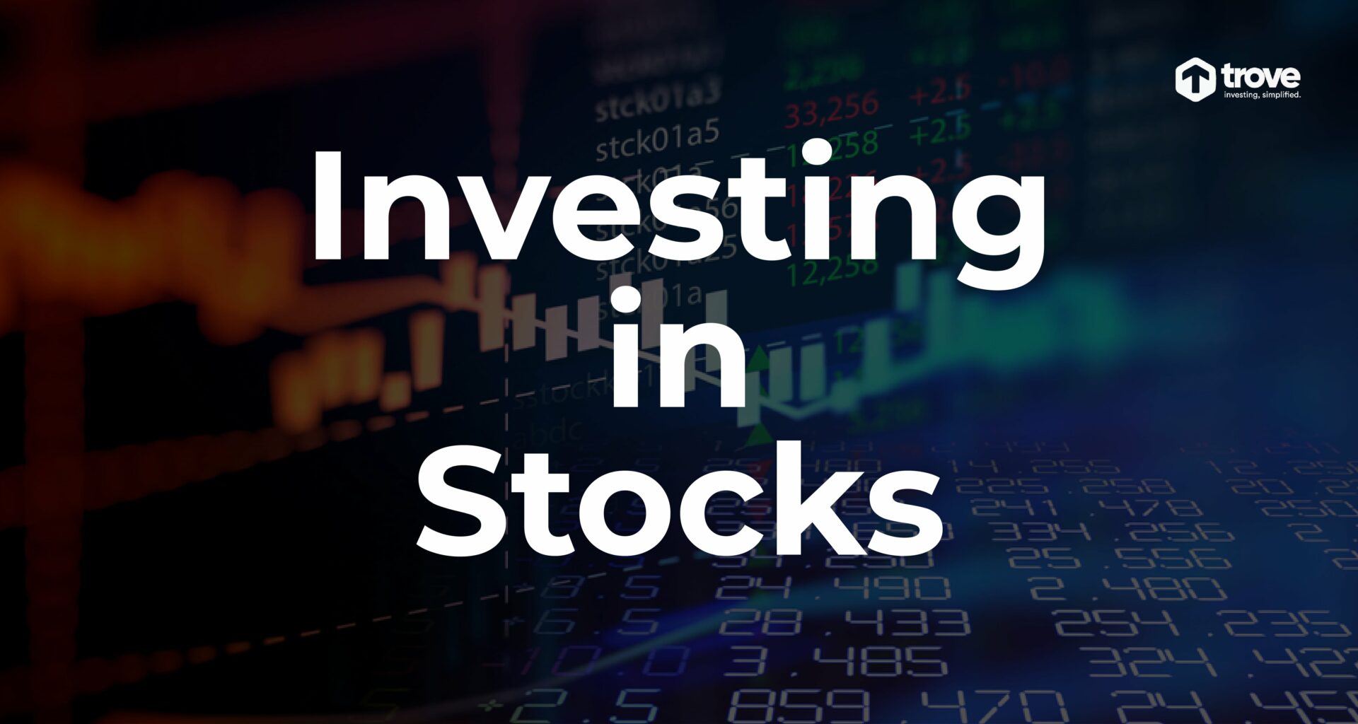 Investment