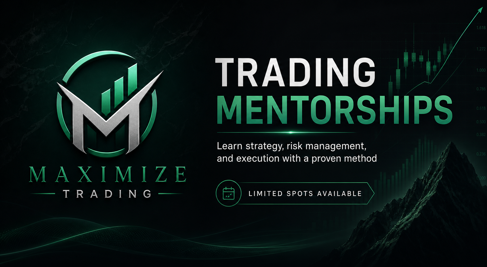 1 on 1 mentorship with the developer
