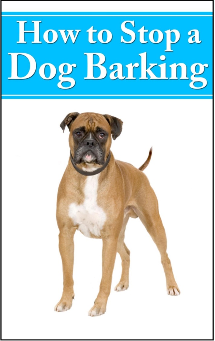 Dog Barking Solution Guide
