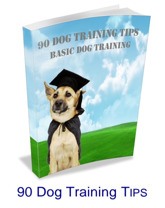 90 Dog Training Tips