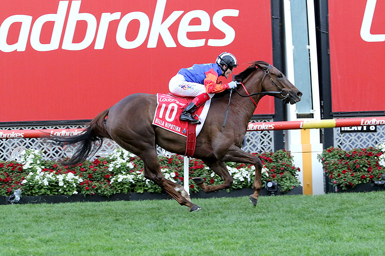 BeyondTheOdds Tipping