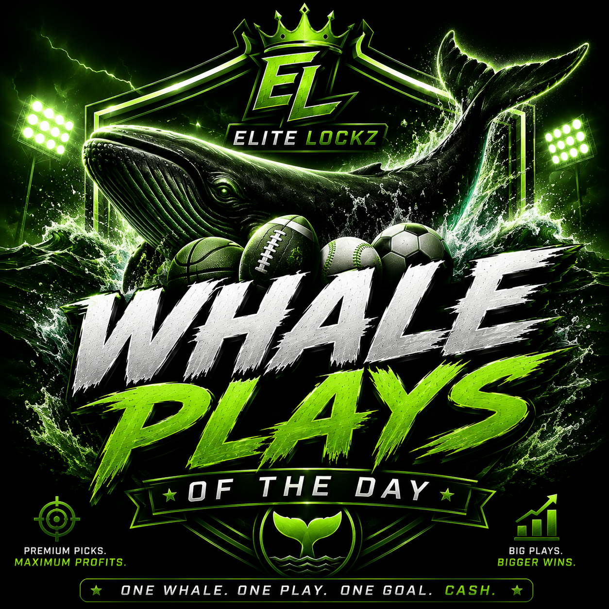 Elite Lockz Whale Play 