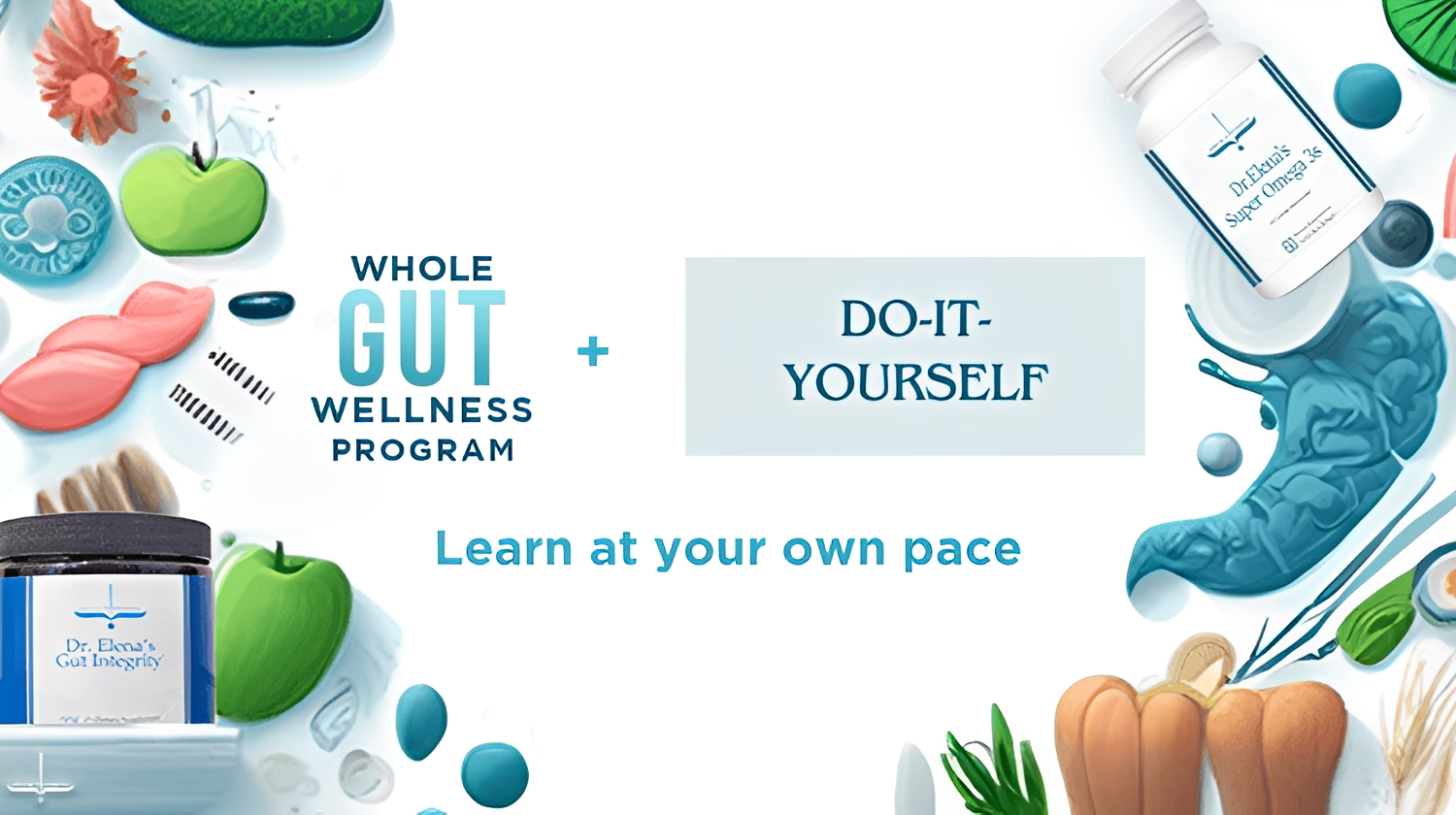 Whole Gut Wellness Program - Do It Yourself