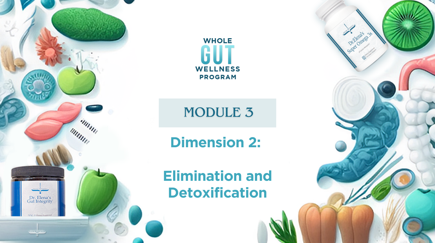 Whole Gut Wellness Program - Dimension 2: Elimination and Detoxification