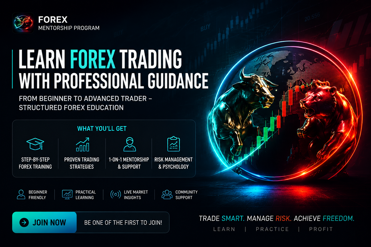 Forex Mentorship Program