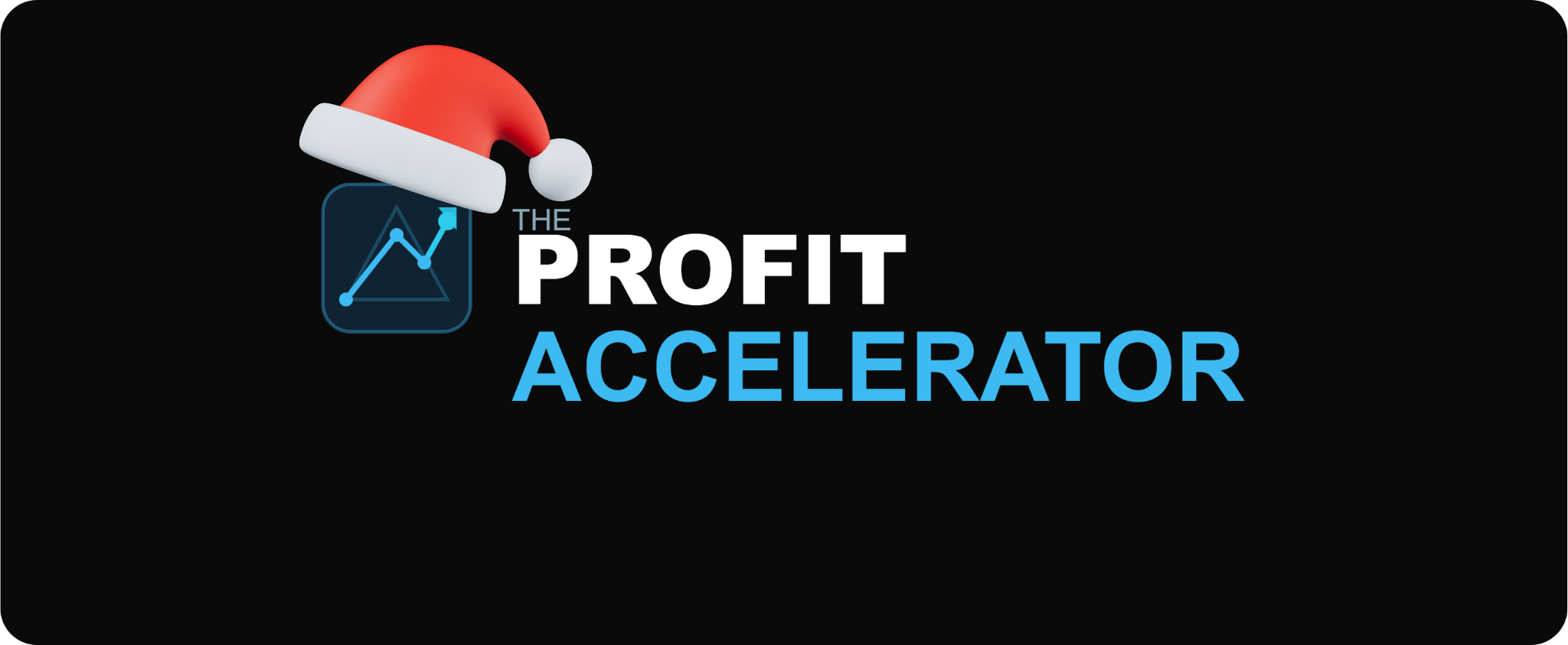 The Profit Accelerator Executive Coaching Program