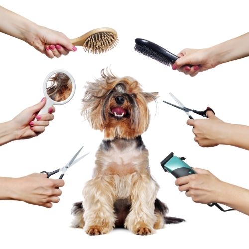 Pet Grooming Precision Kit