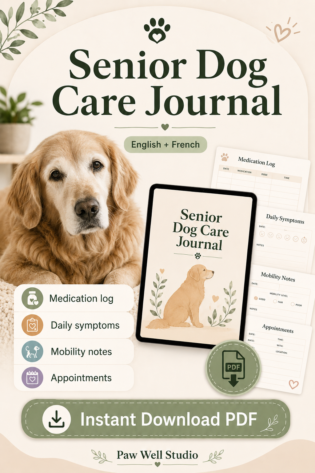 Senior Dog Care & Wellness