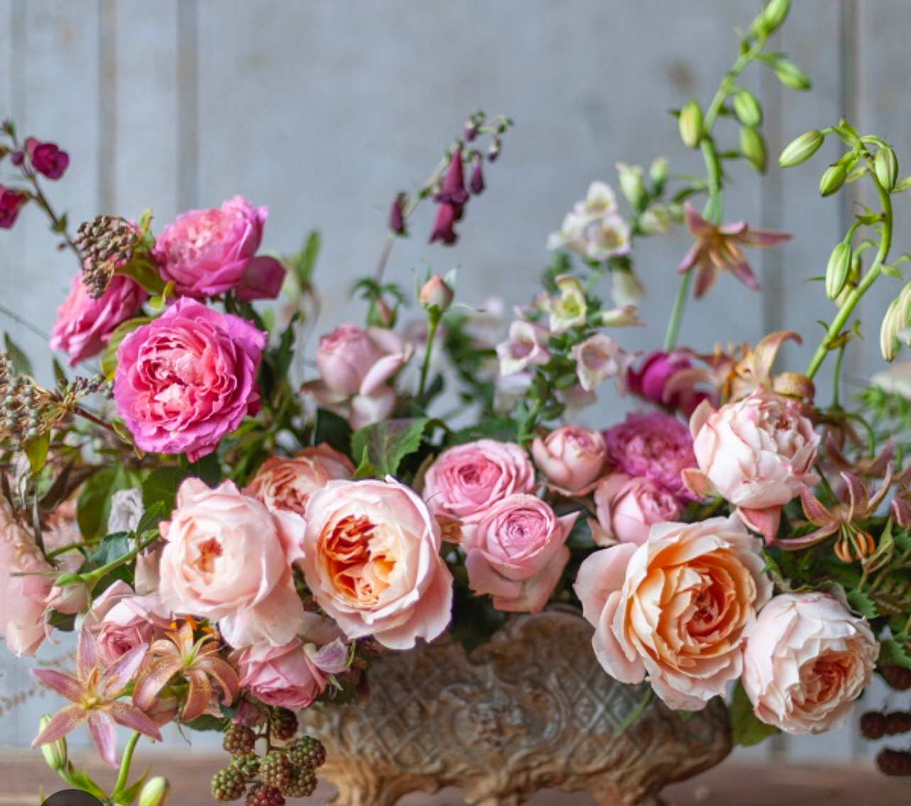 Bloom Boxes