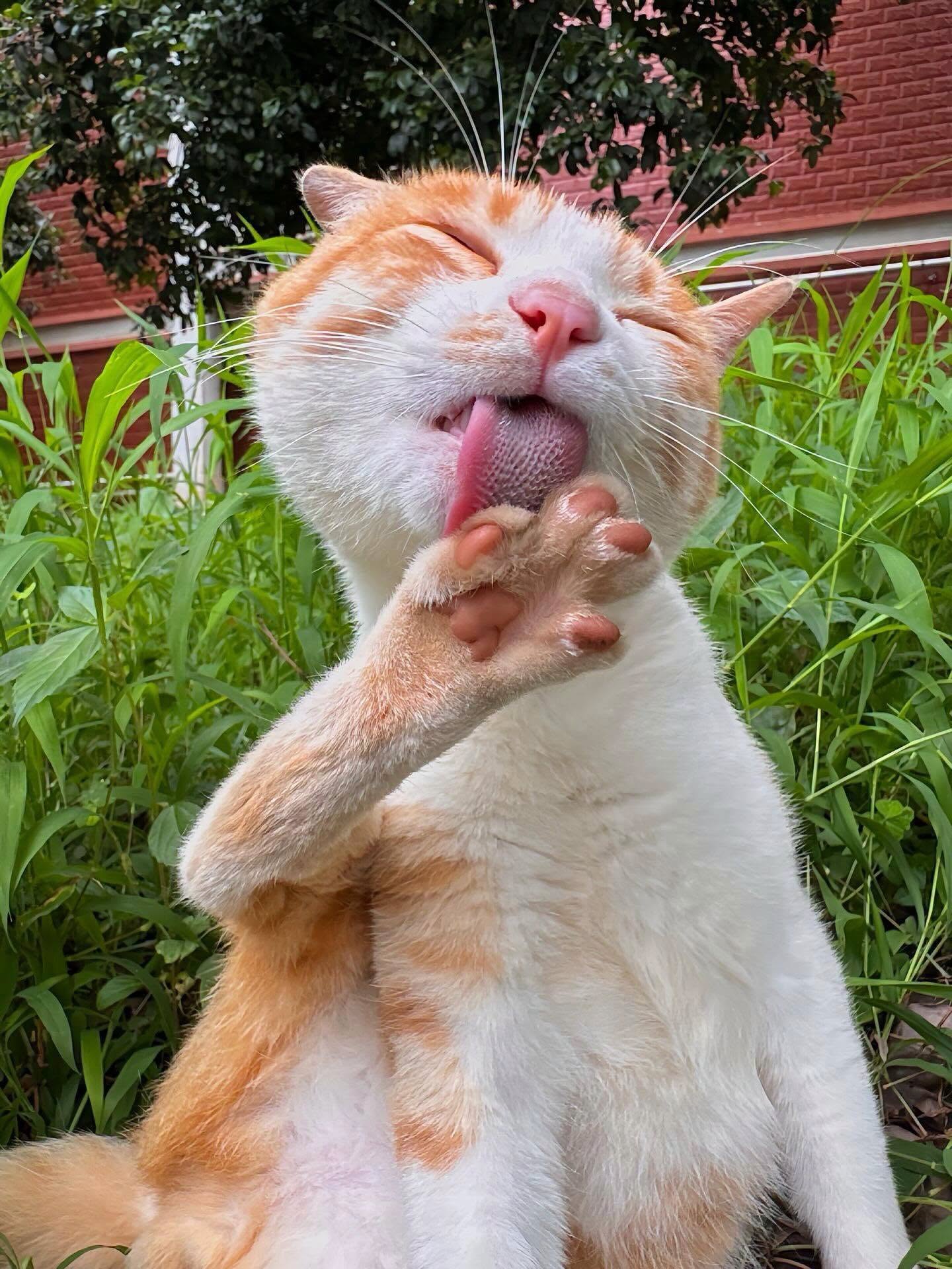 😜 "With just a wink, she stole the hearts of the whole world!"