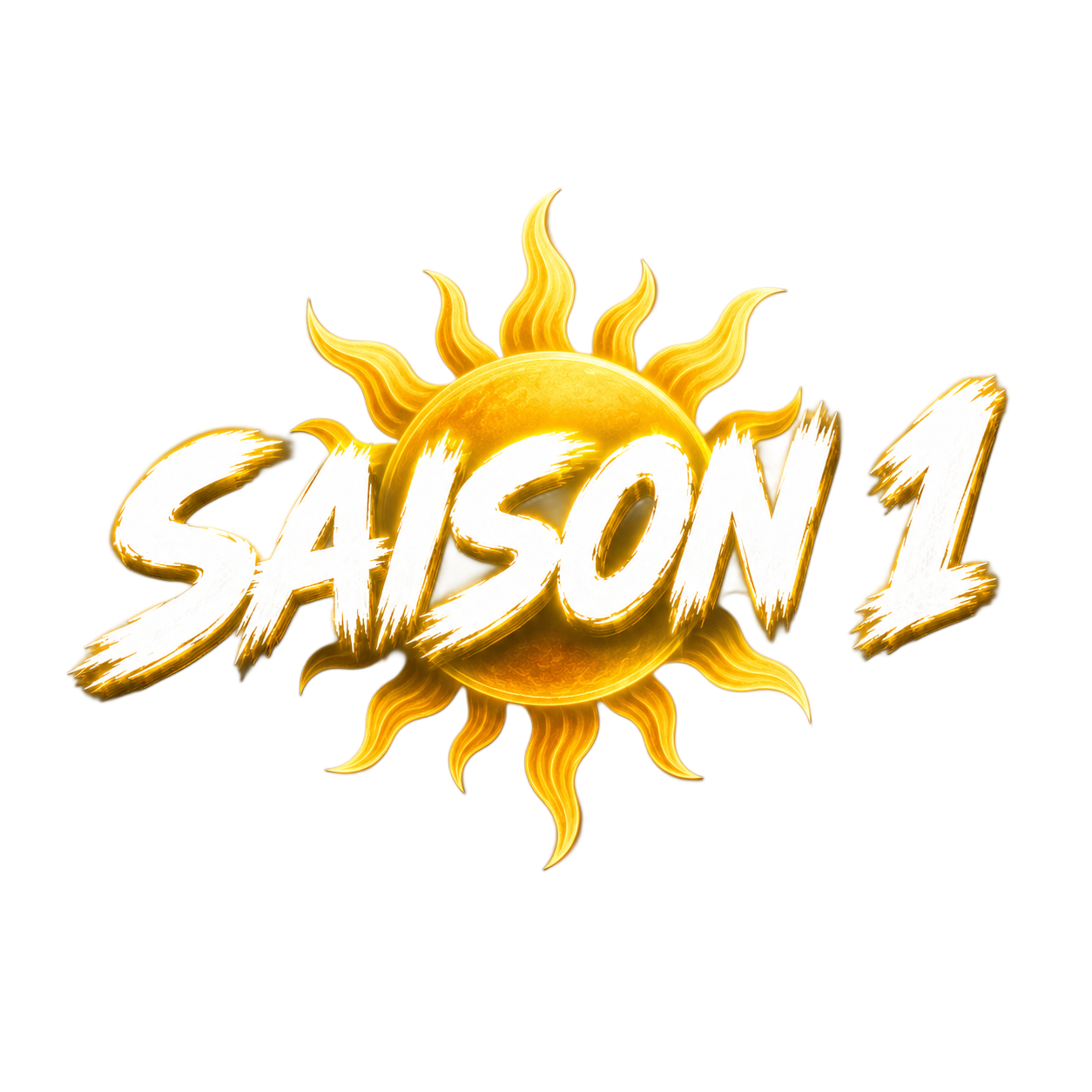 Pass saisonnier  