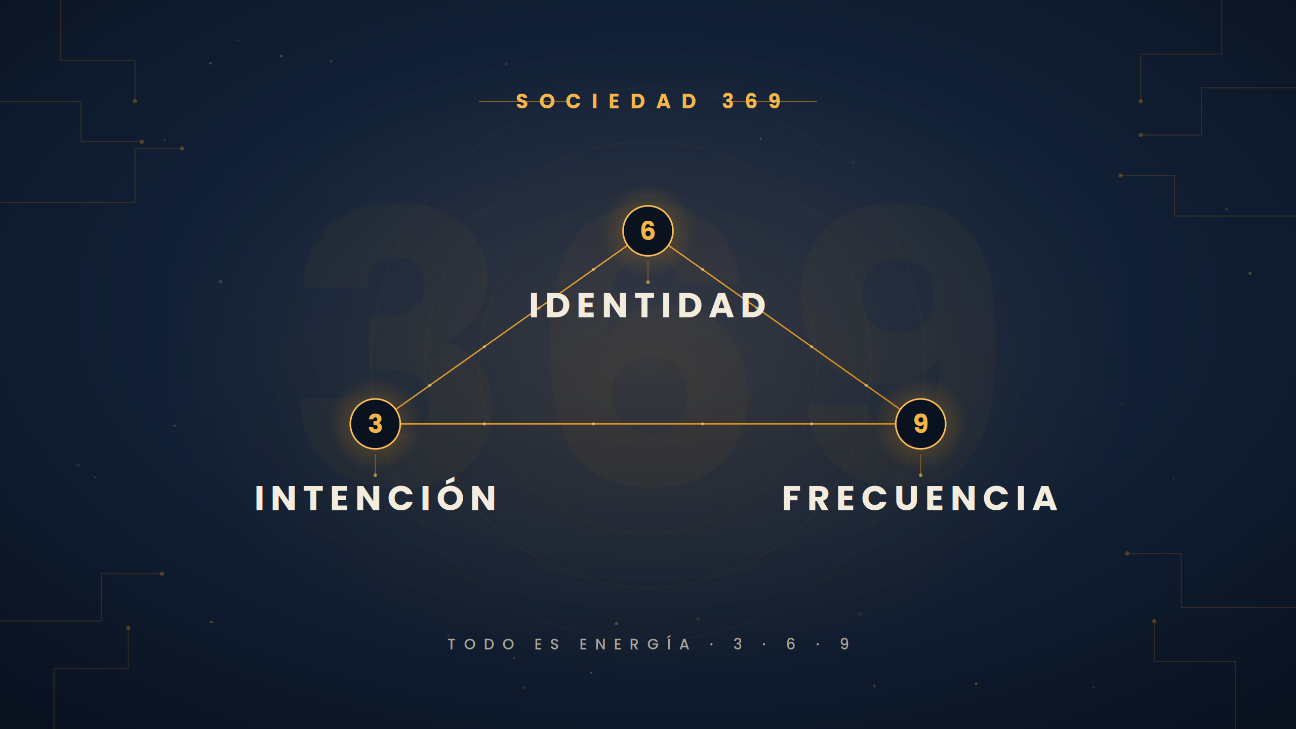 Sociedad 369 — Mentoría eCommerce