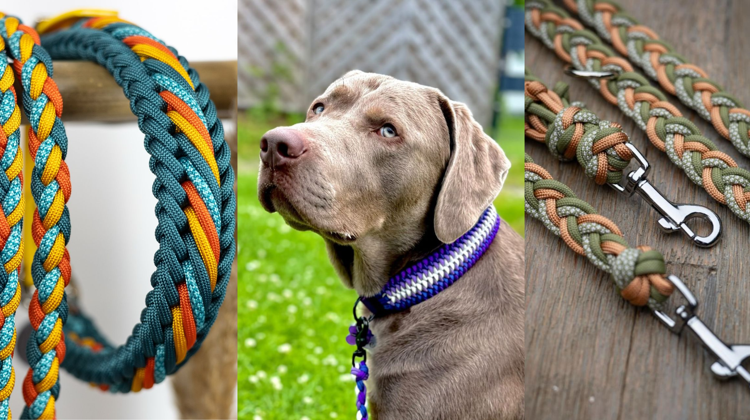 Emprende con collares artesanales para mascotas