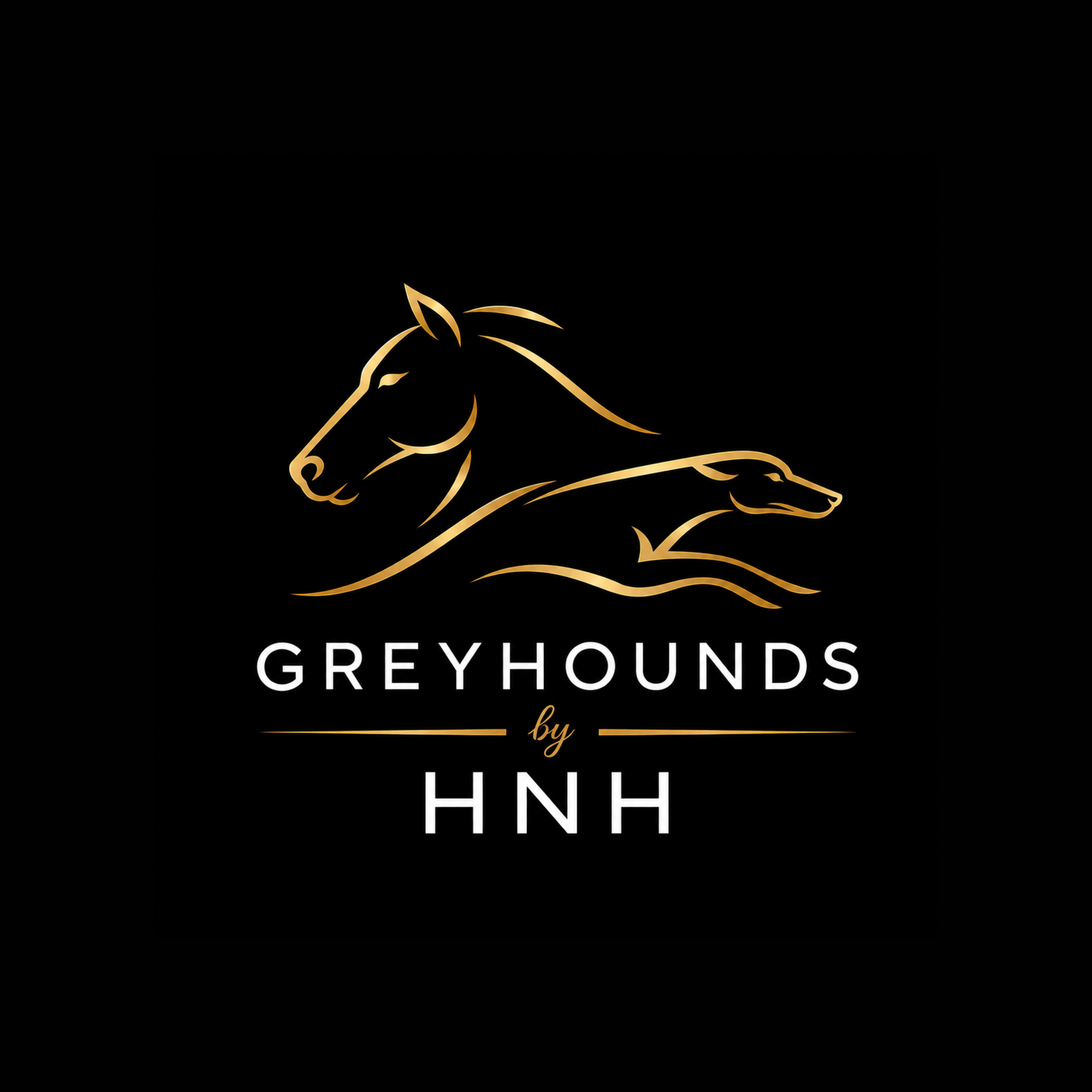 Exclusive Greyhound Group