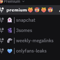 1 day access-premium 
