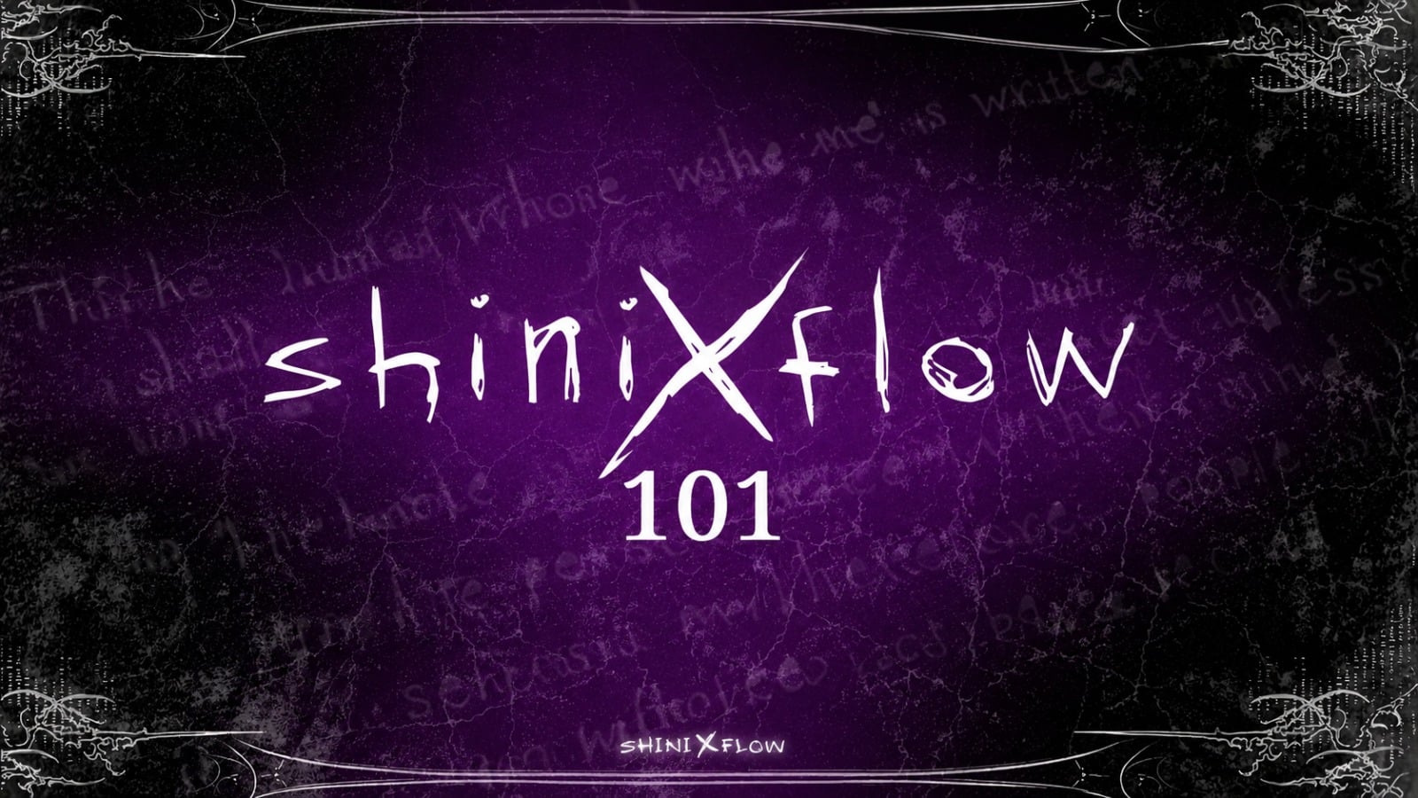 shiniXflow 101
