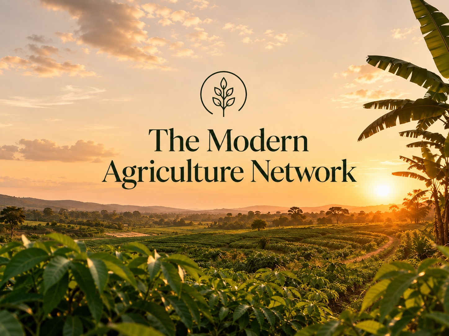 The Modern Agriculture Network