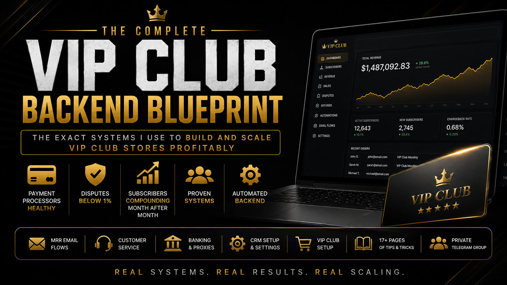 VIP CLUB MRR FULL BLUEPRINT + MENTORSHIP