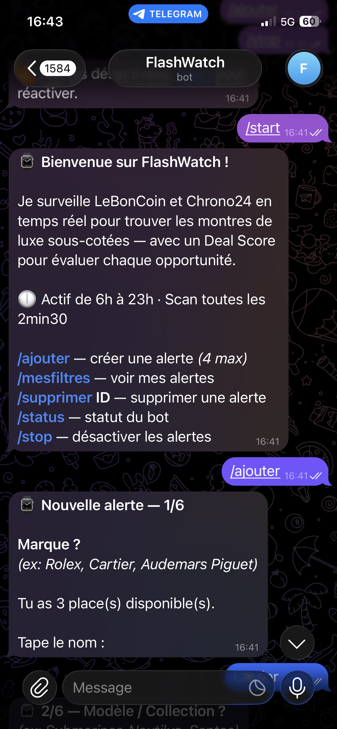 FlashWatch Pro