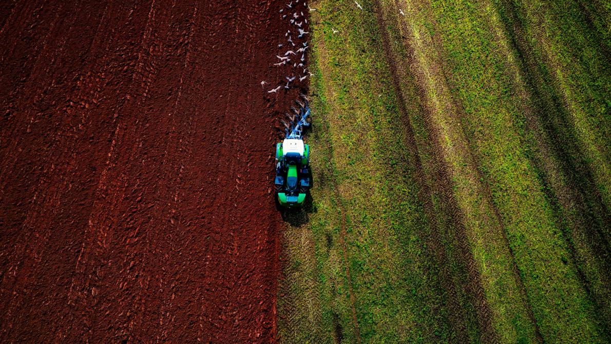 L'Assemblée vote la réintroduction dérogatoire de deux pesticides