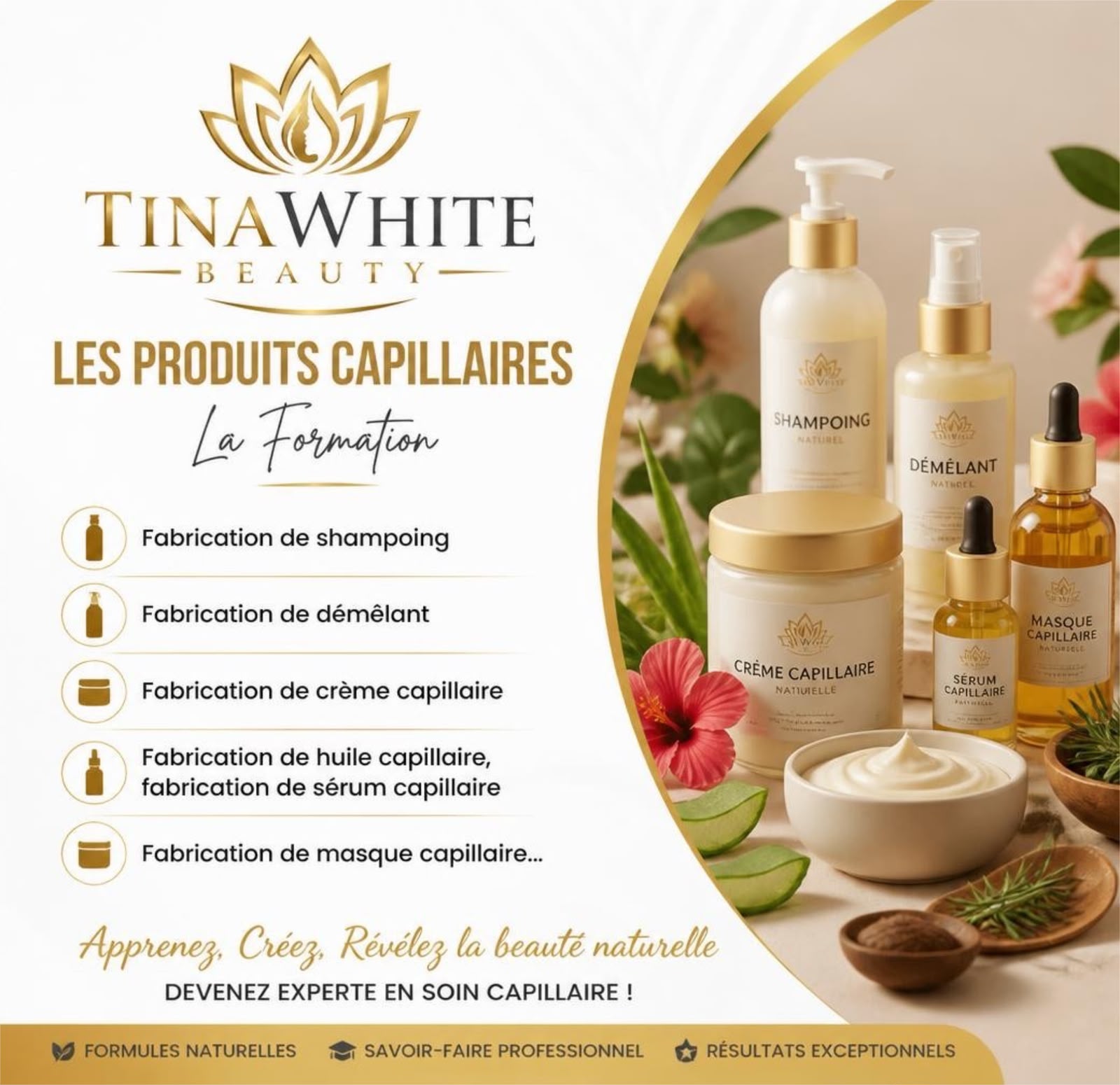 FORMULATION CAPILLAIRE