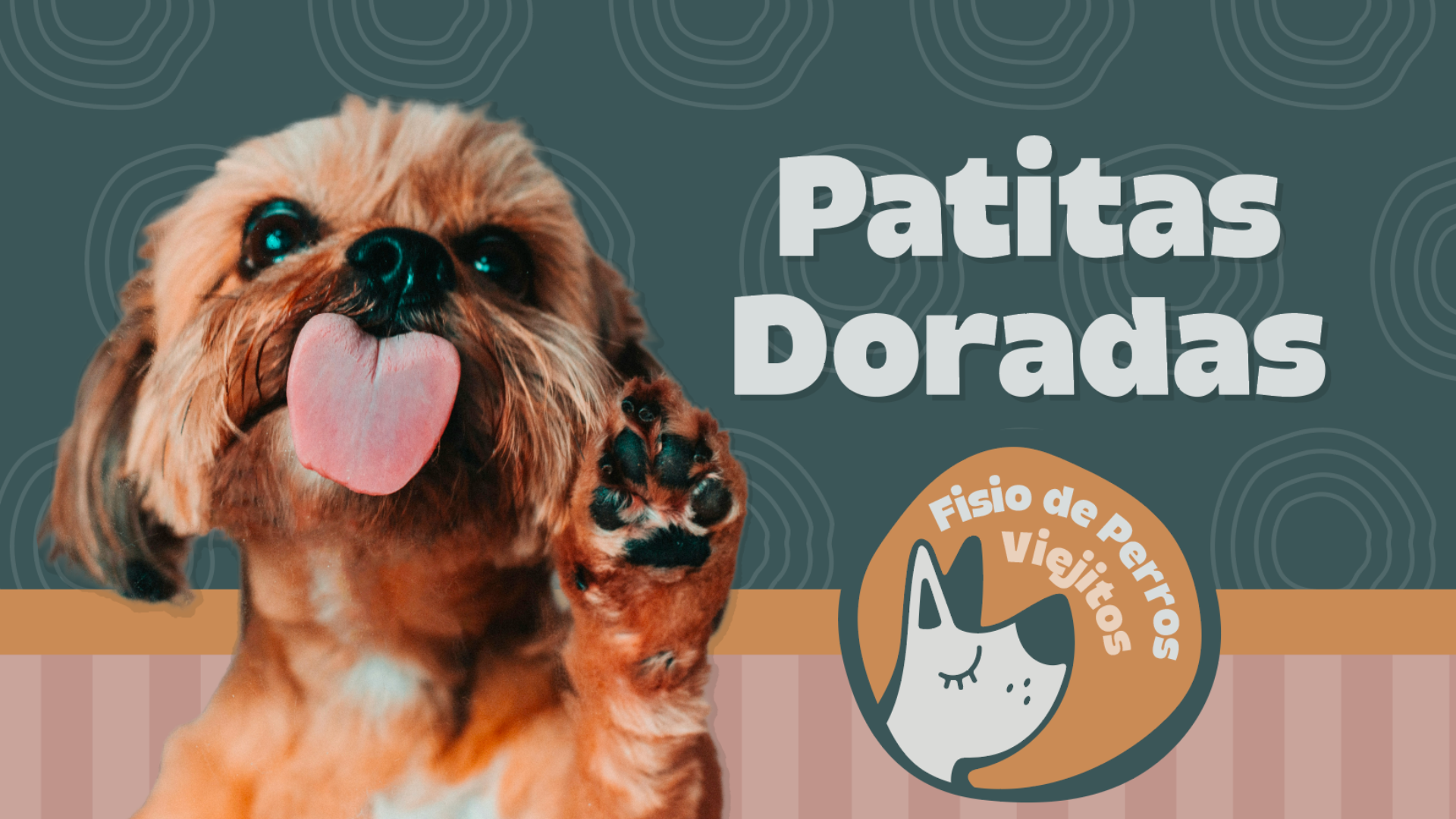 Patitas Doradas