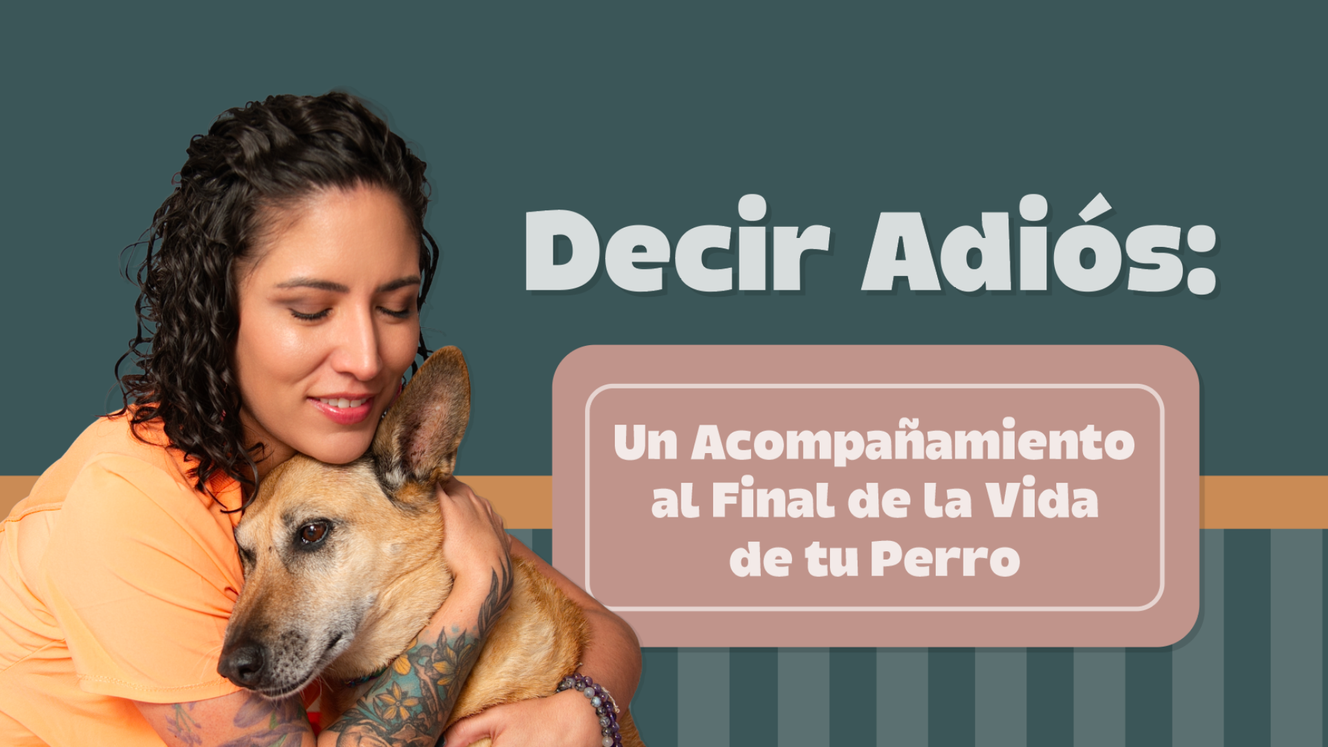 Decir Adiós
