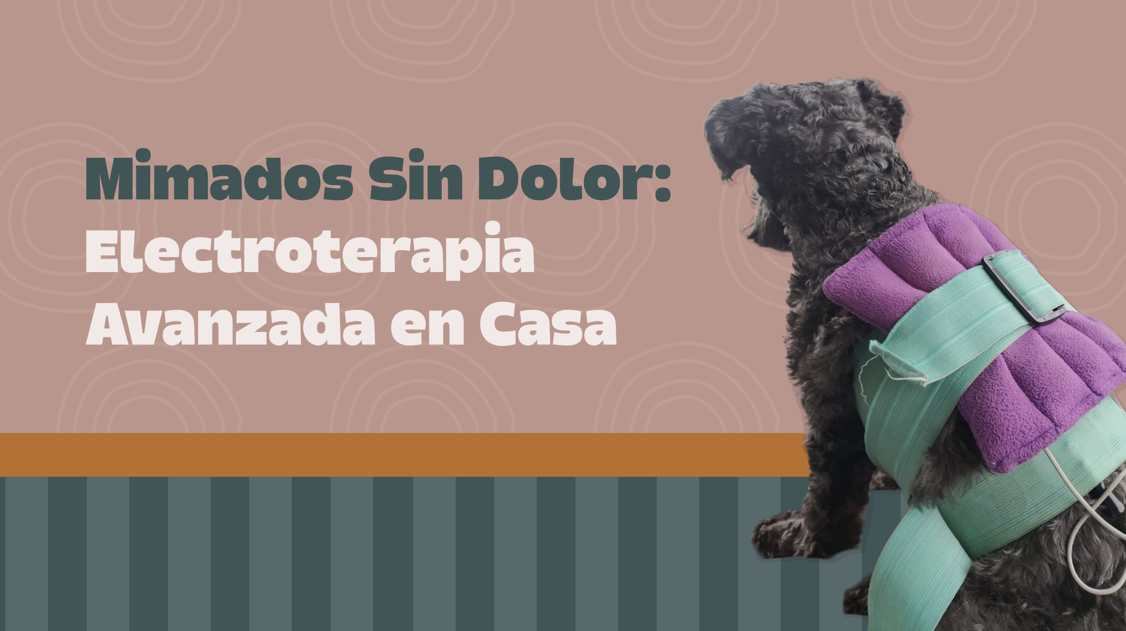 Mimados sin Dolor: Terapia de Corrientes TENS