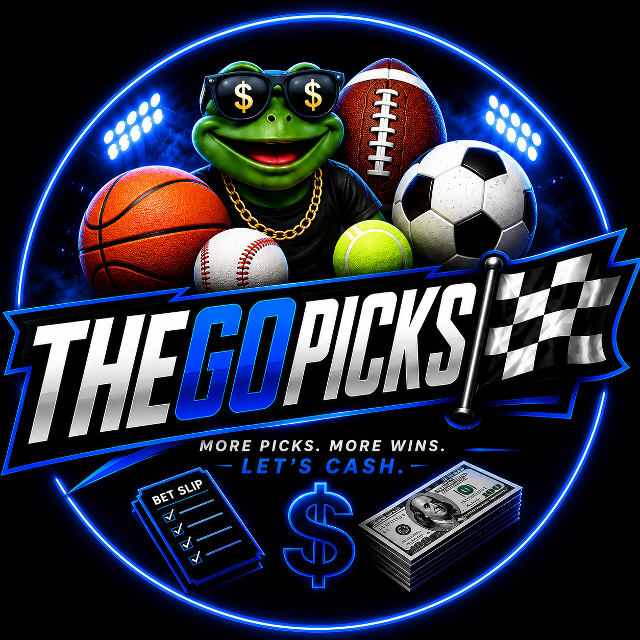 THEGOPICKS🏁