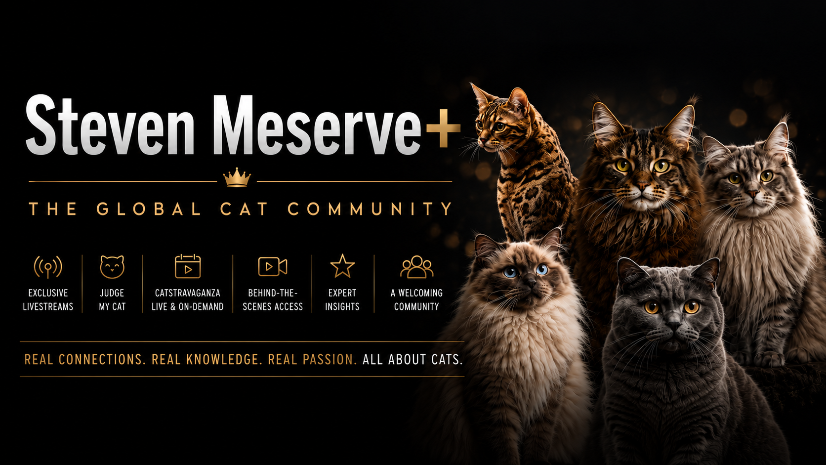 Steven Meserve+