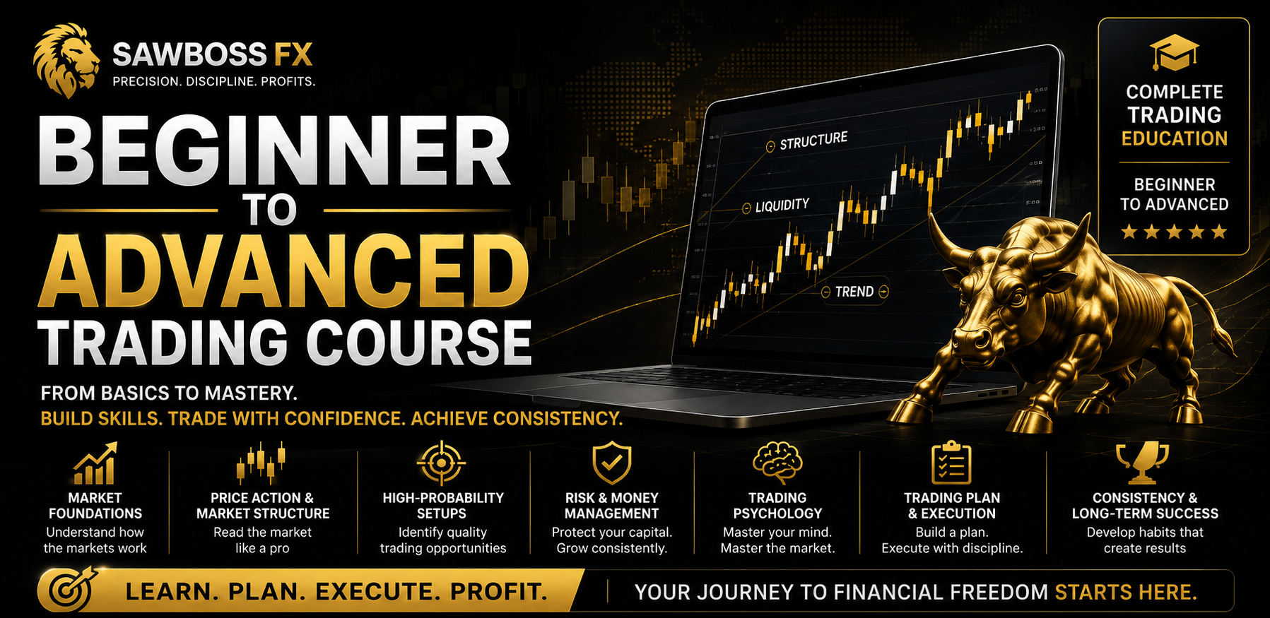 Sawboss Fx Beginner to Advance Trading Course